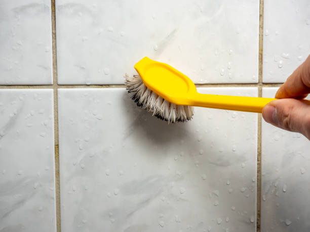 Best Commercial Mold Removal  in Carney, MD